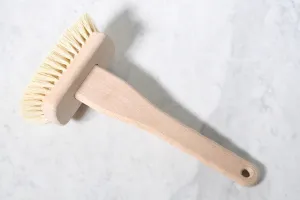 Bathtub Brush