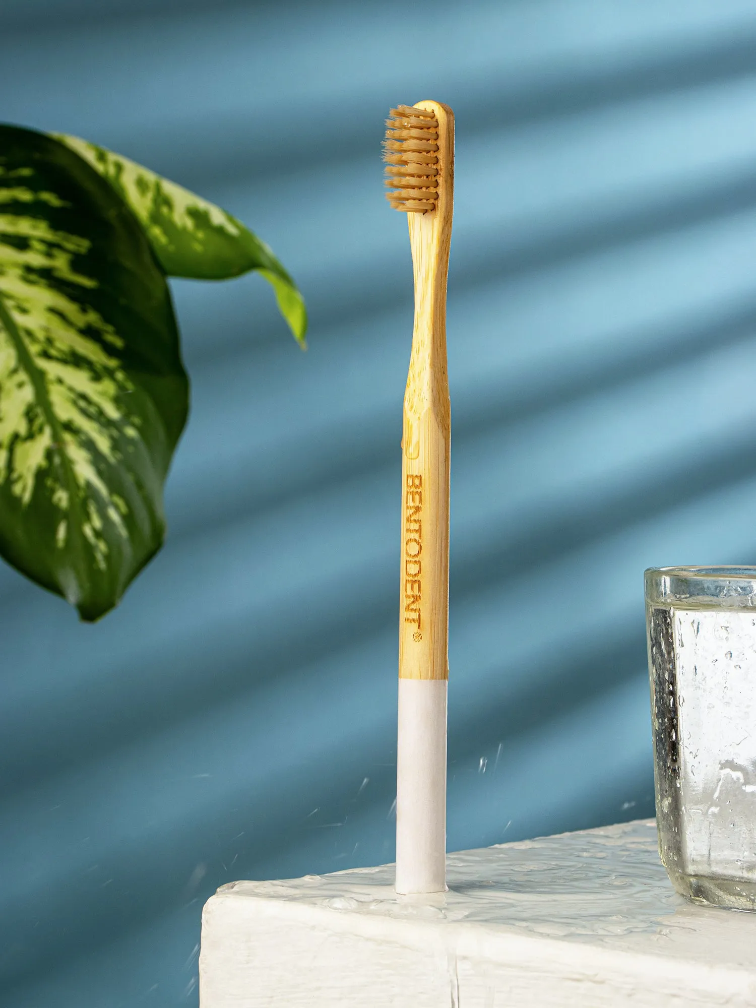 Bentodent Eco Brush Bamboo Toothbrush (non - charcoal) - Ultra Soft
