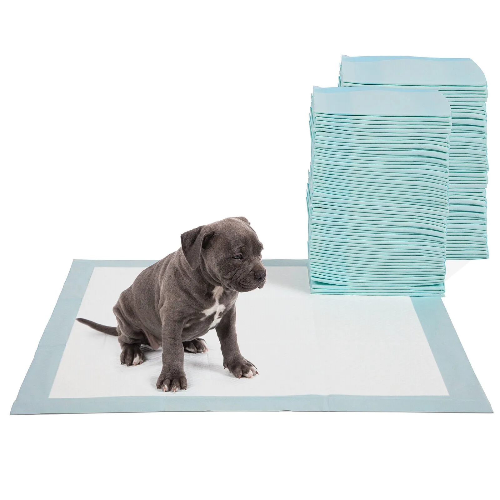 Four Paws Wee Wee Pads for Standard and Little Dogs, 36 Count