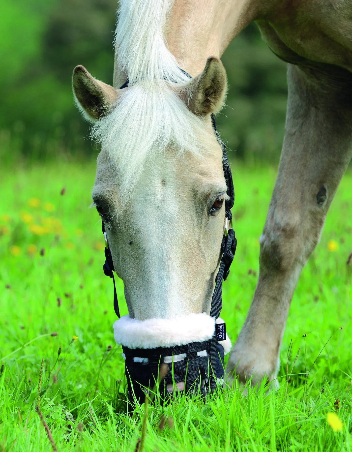 FreeGraze Deluxe Comfort Grazing Muzzle