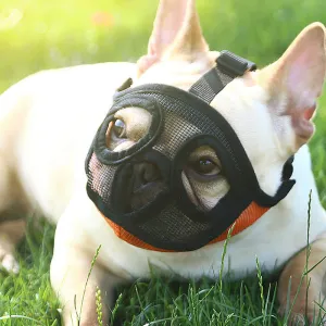 Hoopet Pet Small Dog Muzzle