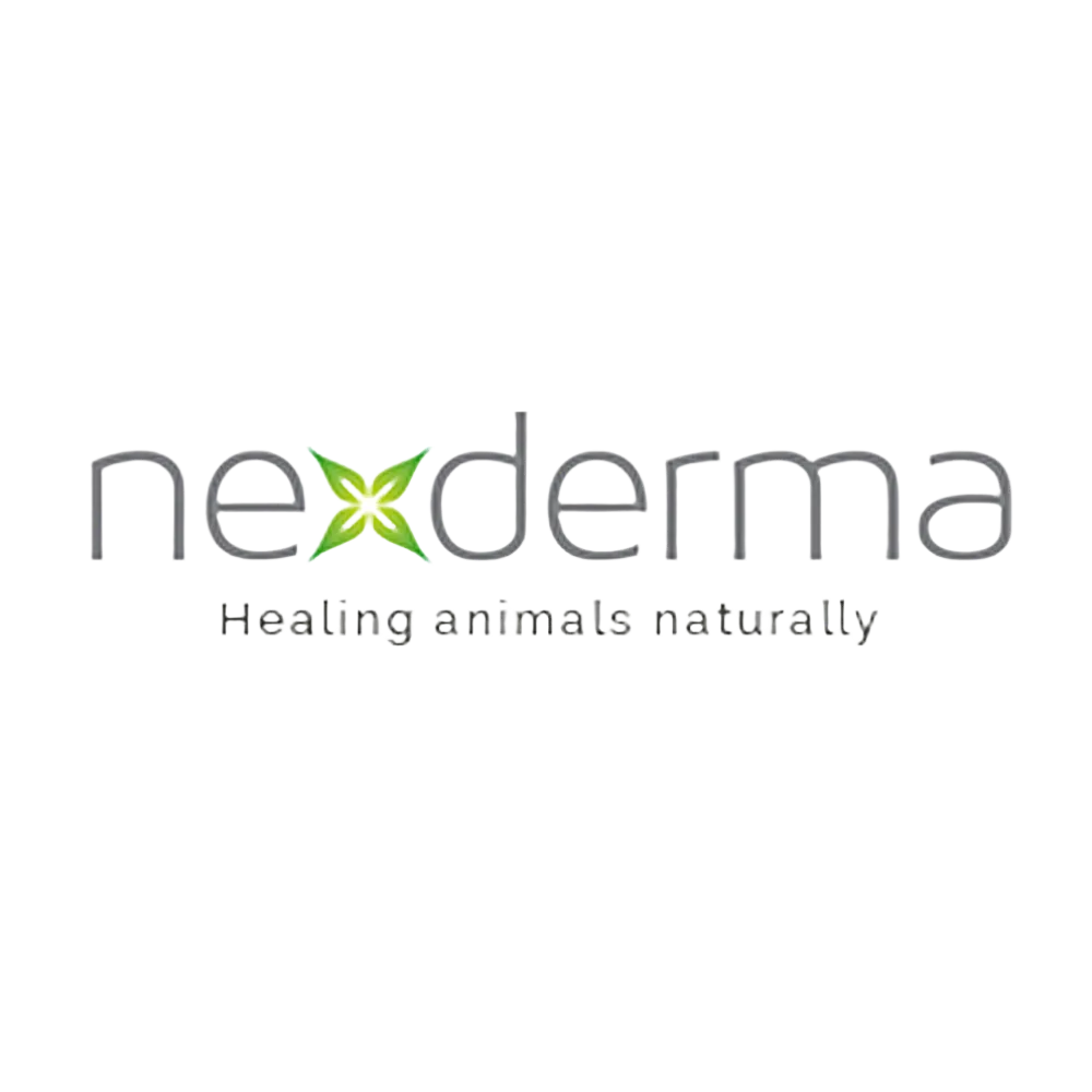 Limited Edition Sugar Cookie Deep Moisturizing Shampoo Gallon by Nexderma