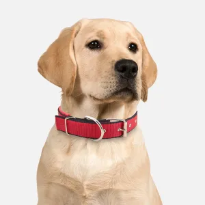MACHO Pet - Reversible Durable Dog Collar