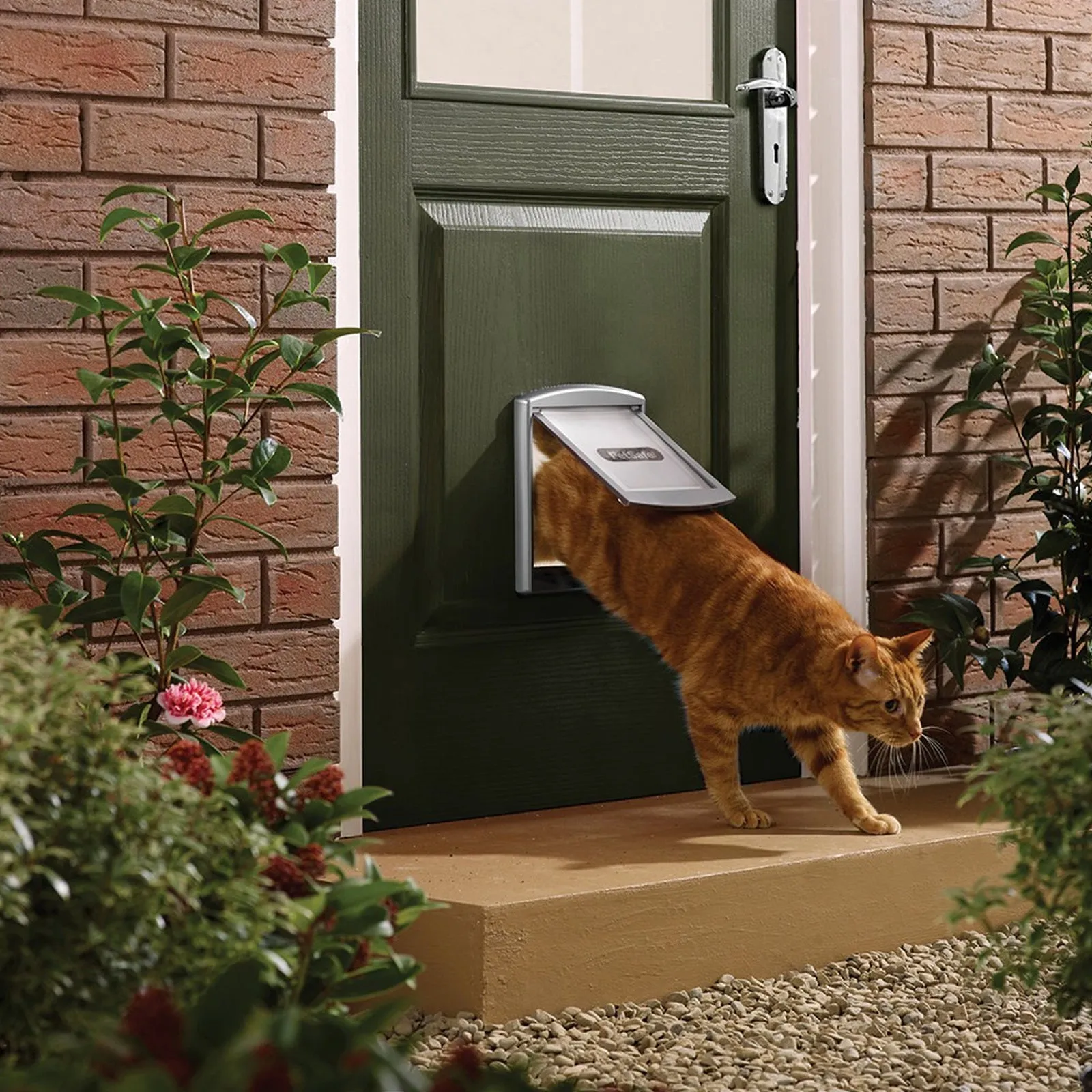 PetSafe Original Cat Flap